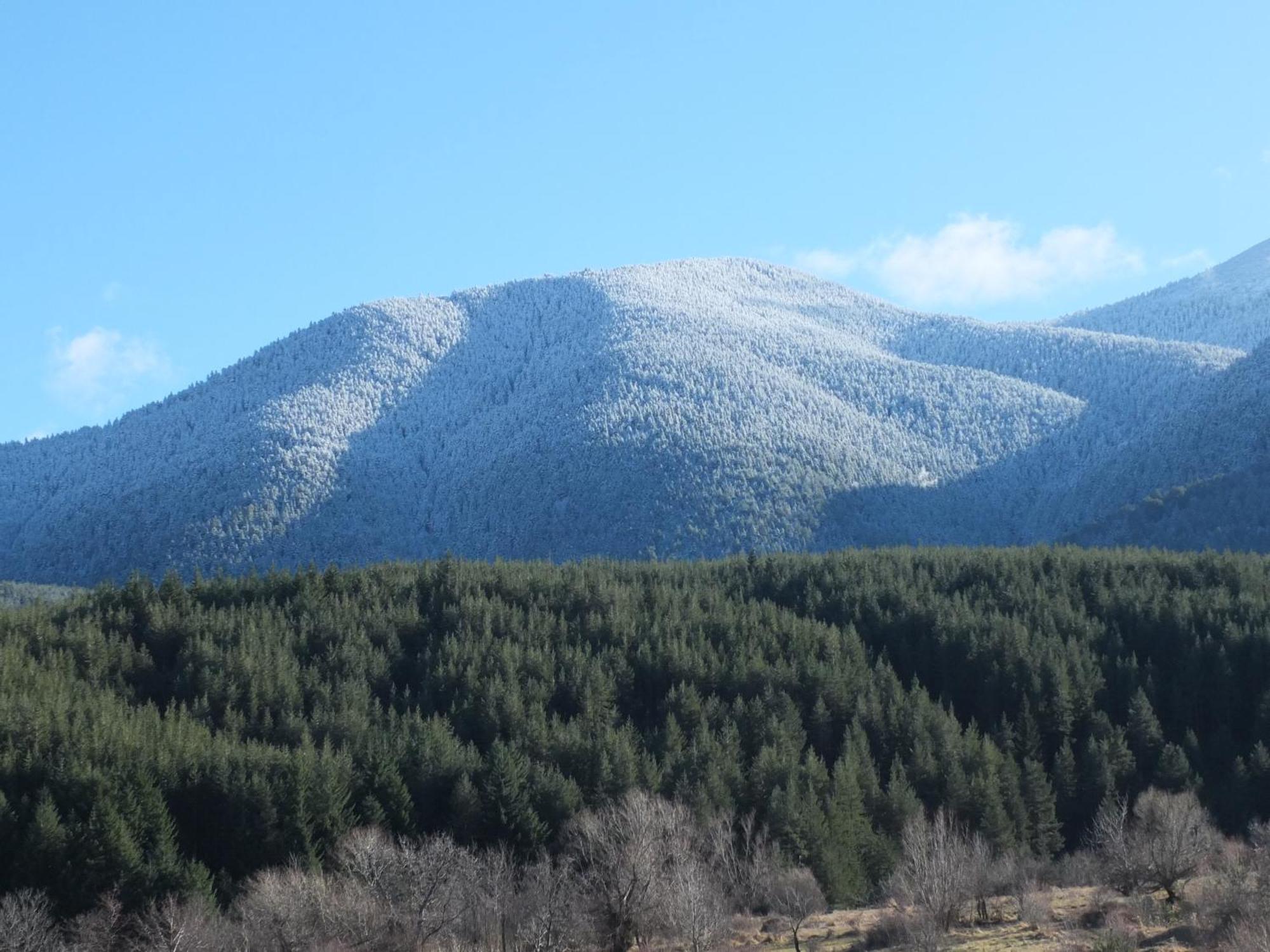 Pirin Heights A-21 Близо До Ски Пистата Bansko Exterior photo